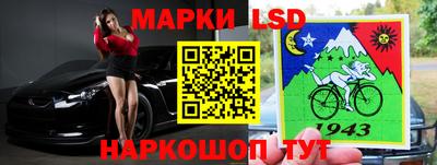 a pvp Новодвинск
