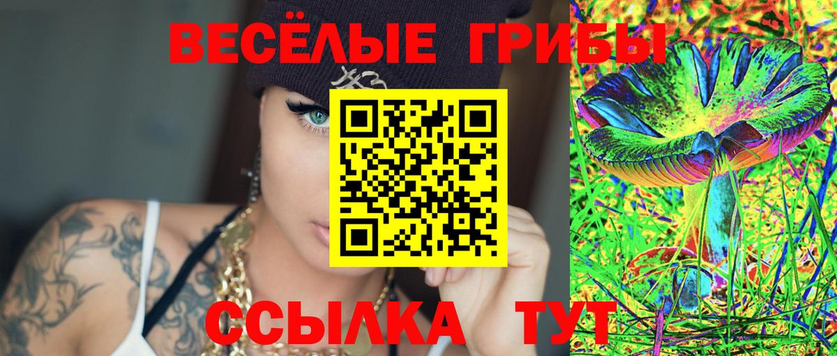 Сертолово  Псилоцибиновые грибы Psilocybe  купить  сайты  Вход с VPN 