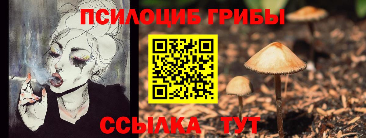 Галлюциногенные грибы ЛСД Сертолово